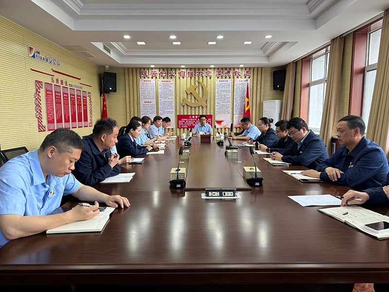 聚焦问题谋改革 强化措施促发展丨盛源公司召开5月份经济分析会