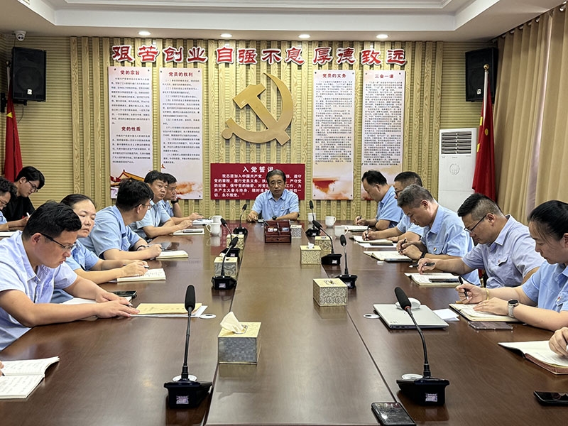 聚焦经营挑战 明确转型方向丨盛源公司召开8月份经济分析会